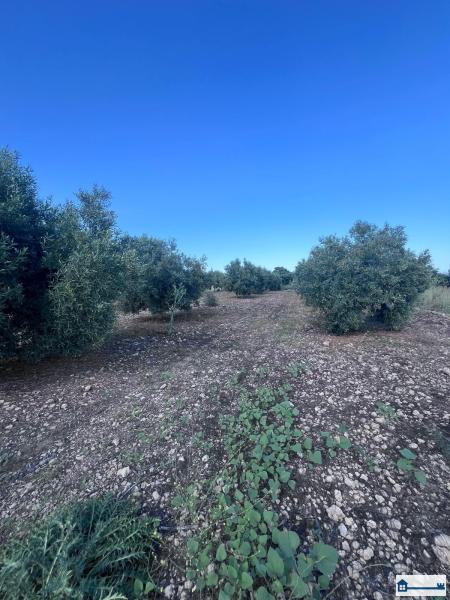 PHOTO-2025-07-09-11-42-40 (8).jpg